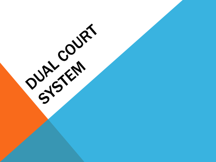 Double take dual court system