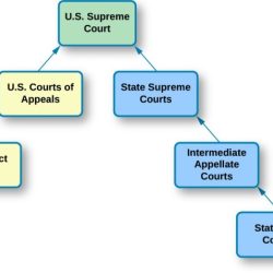 Double take dual court system