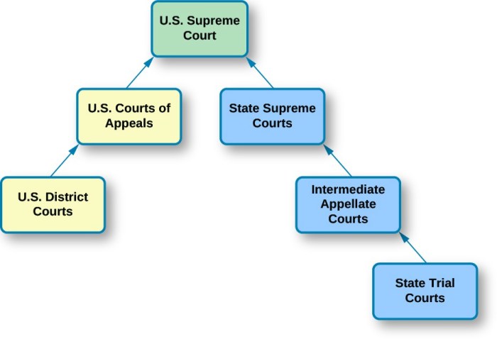 Double take dual court system