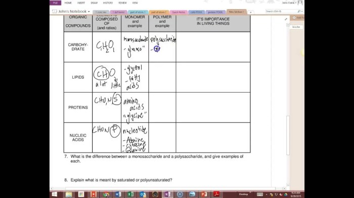 Biomolecules worksheet with answers pdf