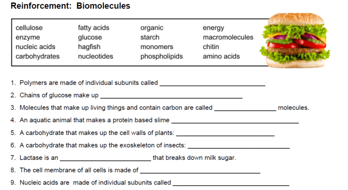 Biomolecules worksheet with answers pdf