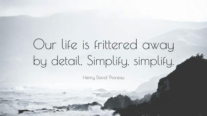 Our life is frittered away by detail simplify simplify meaning