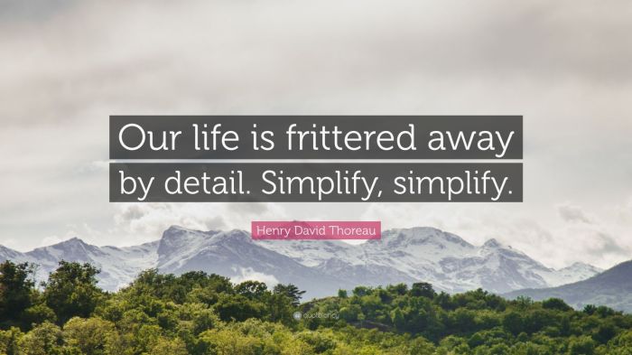 Simplify frittered 출처