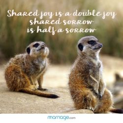 Quotes happiness sharing joy shared sorrow double half thethingswesay visit being