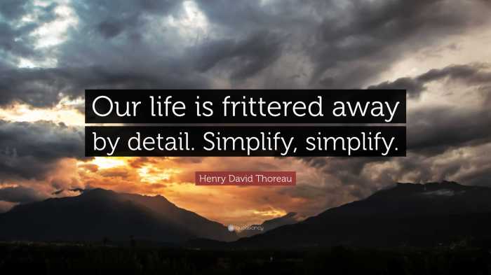 Our life is frittered away by detail simplify simplify meaning